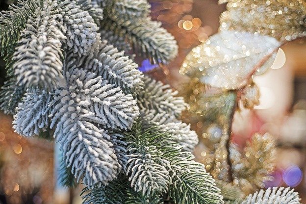 Carmel-by-the-Sea: Your Guide to a Magical Holiday Season