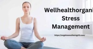 Wellhealthorganic Stress Management