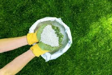 Types of Lawn Fertilizers: Choosing the Right Option for Your Lawn